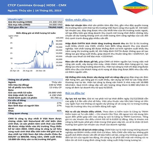 Báo cáo phân tích CMX | PDF