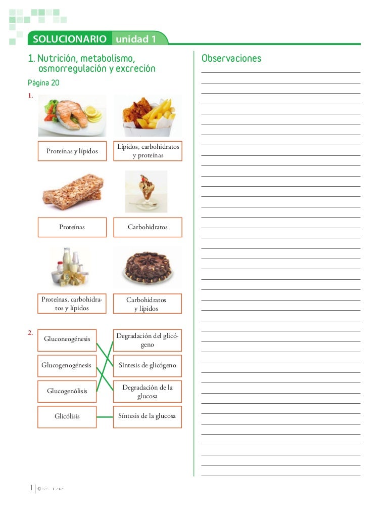 explicación simple del ciclo del nitrógeno de la diabetes explicación simple del ciclo del nitrógeno de la diabetes