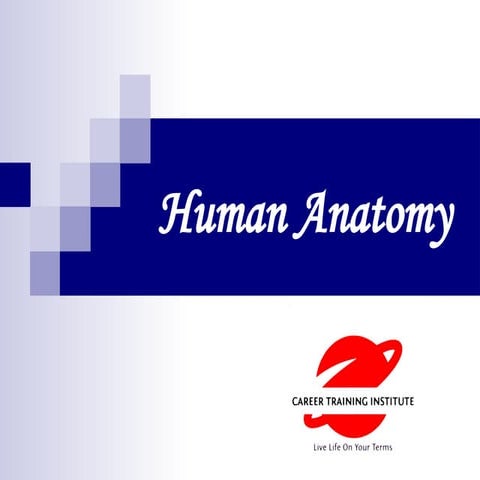 CNA Class 02 basic nursing skill for begginers