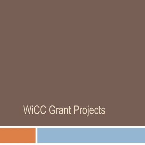 CNCS Structure and the WiCC VISTA Program