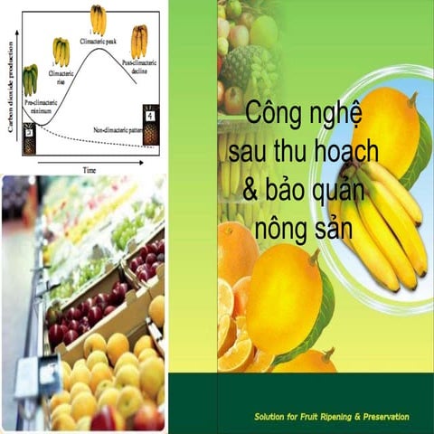 Công nghệ sau thu hoạch rau quả