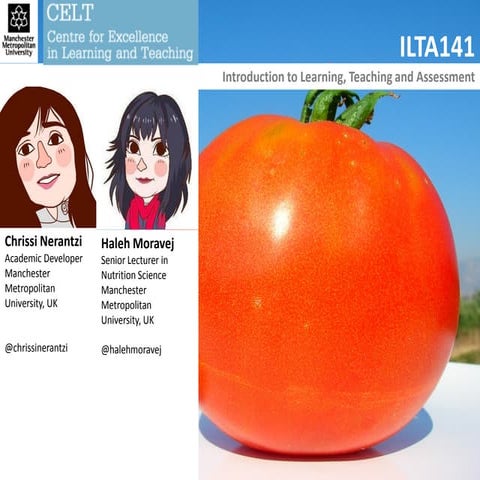 #ILTA141 Large and small group teaching with Chrissi Nerantzi and Haleh Moravej