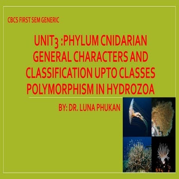 Classification of phylum Cnidaria upto class | PPTX