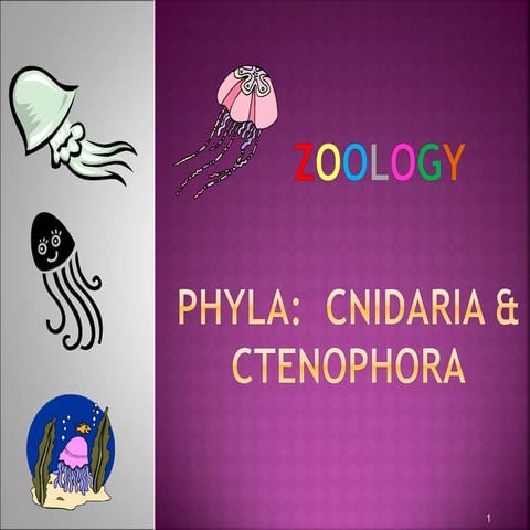 Cnidaria and ctenophora 2012 | PPT