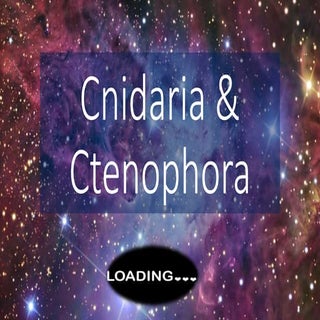 PPT Cnidaria & Ctenophora 