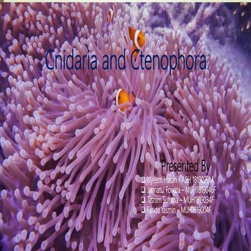 Cnidaria&amp;ctenophora