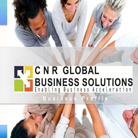 Cnr global business profile v2.8