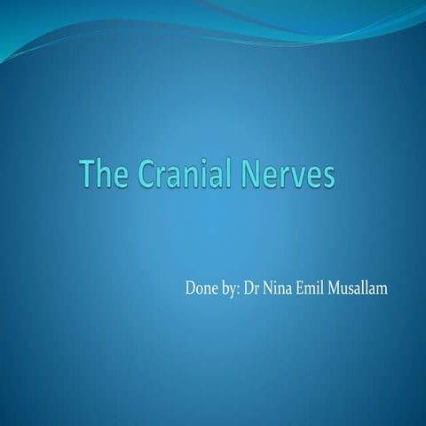 the cranial nerves 