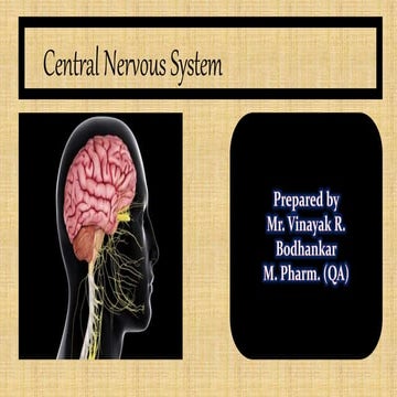 Central Nervous System