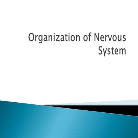 CNS.ppt