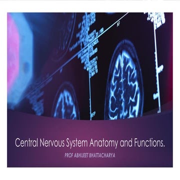 CNS Anatomy  & Functions.