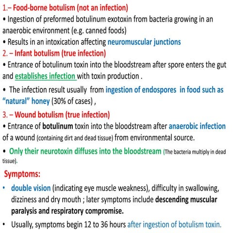 cns - bacter ia 2.pptx
