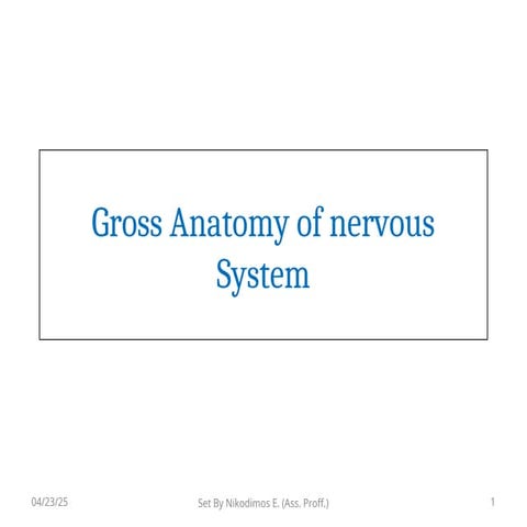 Central nervous system anatomy for medicine | PPT