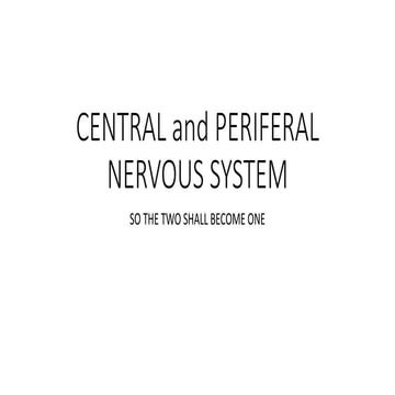 CNS and PNS year 9 2023.pptx