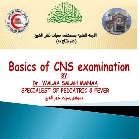 CNS examination
