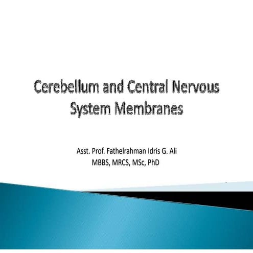 CNS Histology (2).pdffjdjskkfjdjfjfjffjfjfk