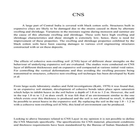 CNS layer  (usefulsearch.org) (useful search) 
