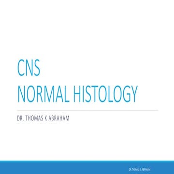 CNS normal histology