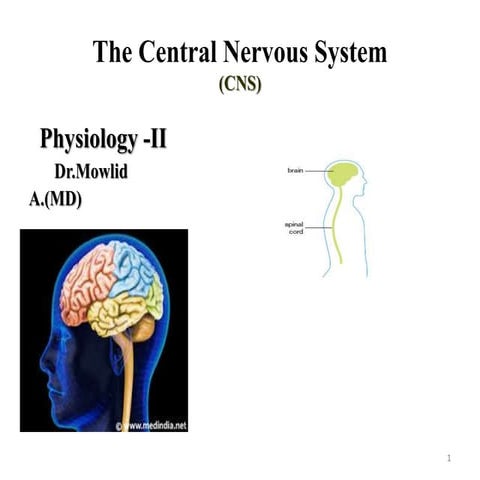 CNS Physiology.pptx