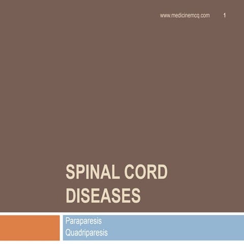 Spinal cord diseases