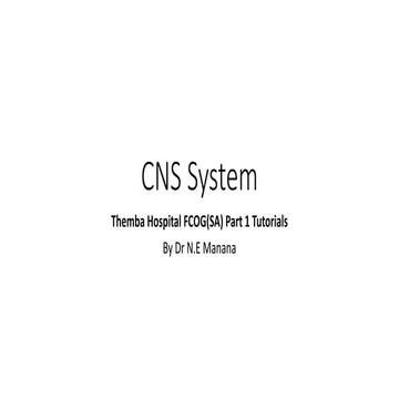 CNS System.pptx