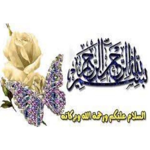 Cranial Nerve V Trigemial 