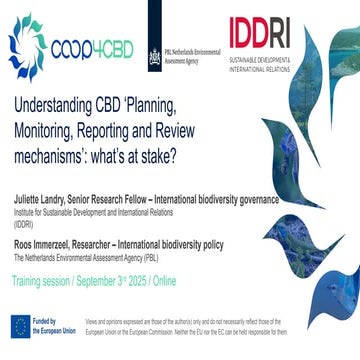 Planning, Monitoring, Reporting and Review: Global Review of Collective Progr...