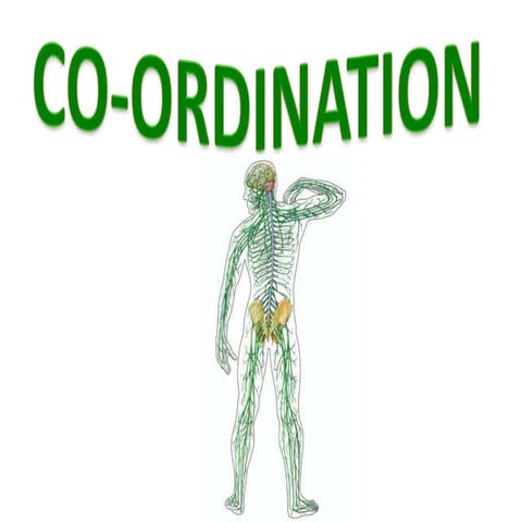 Co ordination