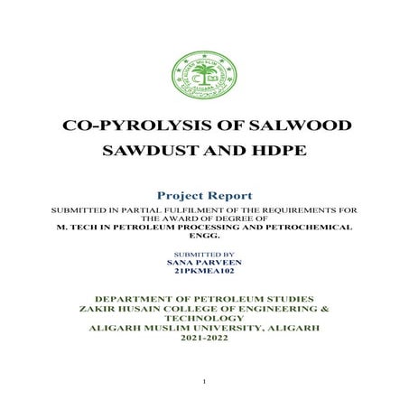 CO- pyrolysis report. pdf