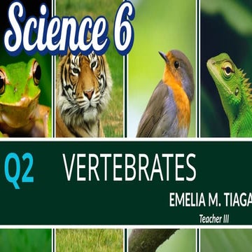 Classification of vertebrates.pptx