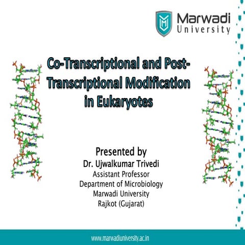 Post-Transcriptional Modification of Eukaryotic mRNA