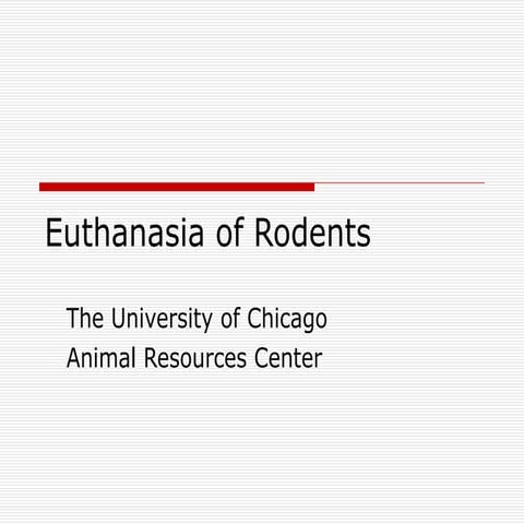 Co2 euthanasia procedure