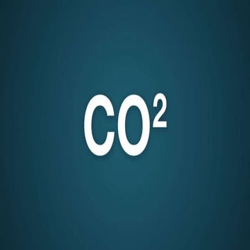 CO2 Presentation - The Largest Profit Levers
