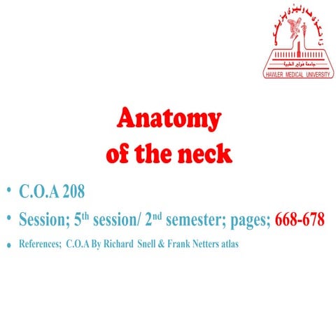 clinically oriented anatomy of the neck in humans