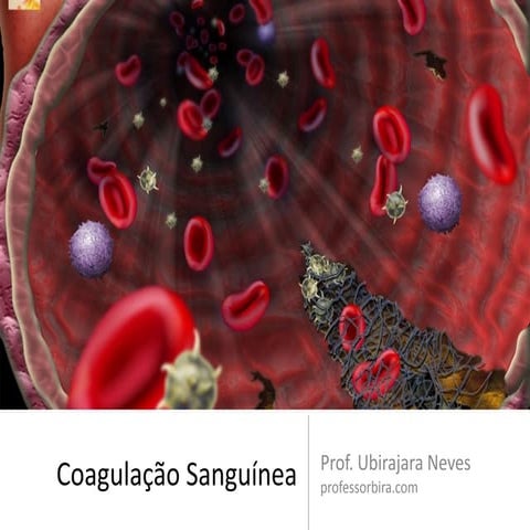 Coagulação Sanguínea | PDF