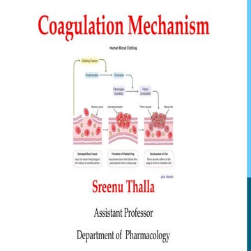 Coagulation Mechanism and blood disorders
