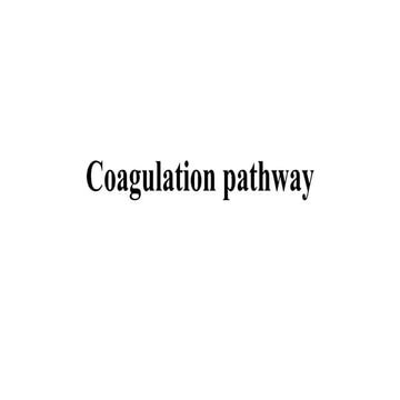 Coagulation pathway.pptx