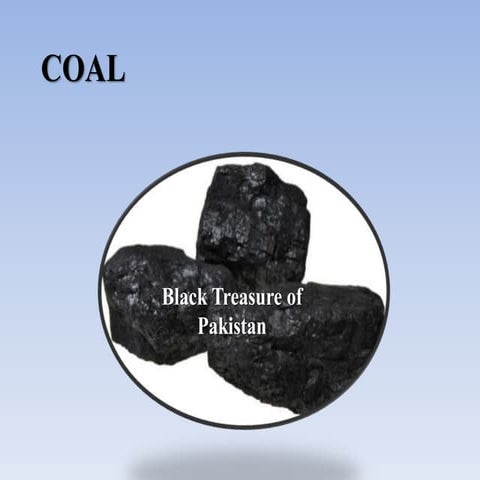 Coal
