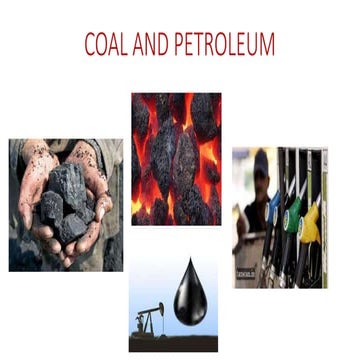Coal and petroleum