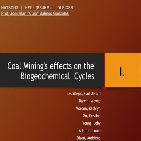 Coal Mining - Effects on BioGeoChemical Cycles - Semirara Mining