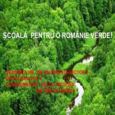 Si gradinitele din Bucuresti colecteaza hartie in "Scoala pentru o Romanie Verde"