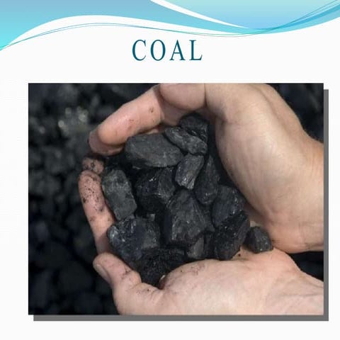 Coal 