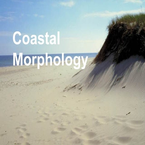 Coastal Morphology