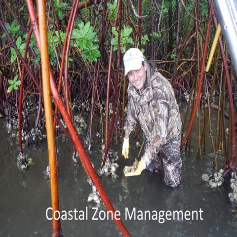 Coastal zone management 