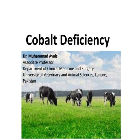 Cobalt deficiency in Animals