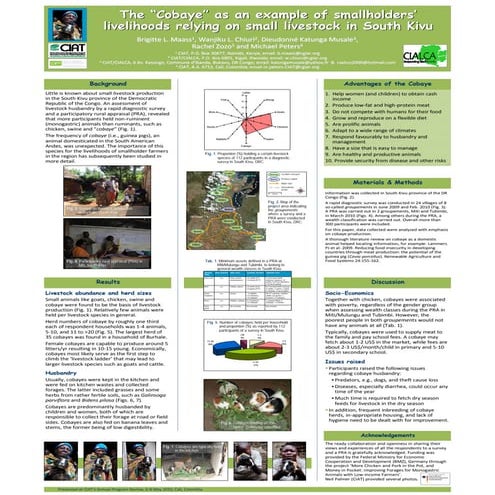 Poster14: The "Cobaye"as an example of smallholders' livelihoods relying on s...