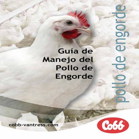 Cobb manual | PDF