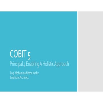 Principal 4 Enabling A Holistic Approach