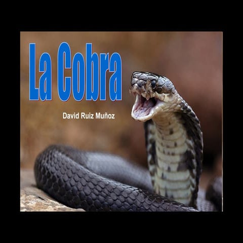 La cobra