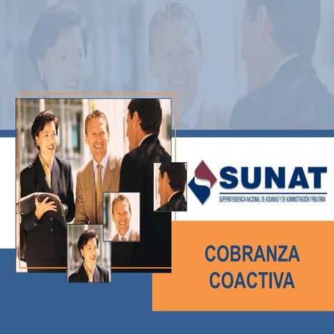 Cobranza coactiva